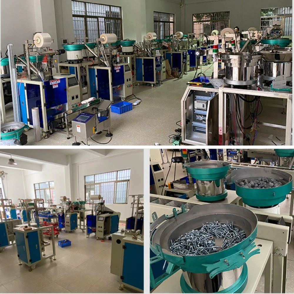 Automatic 100g 150g 200g 250g Weigh Fastener Filling Bagging Packing Machine