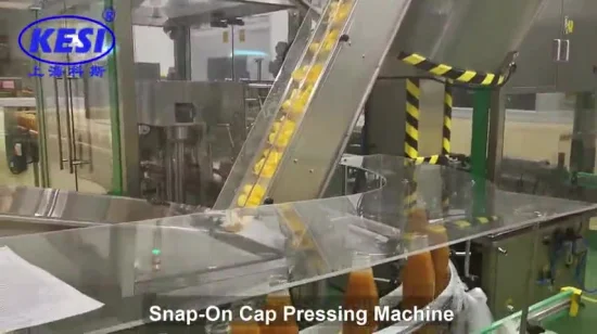 Snap-on Cap Pressing Machine