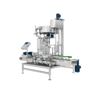 5L-30L High Speed Single Head Screw Capping Machine for Drum